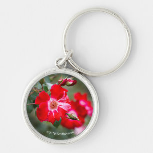 Fourth of July Shrub Key Ring