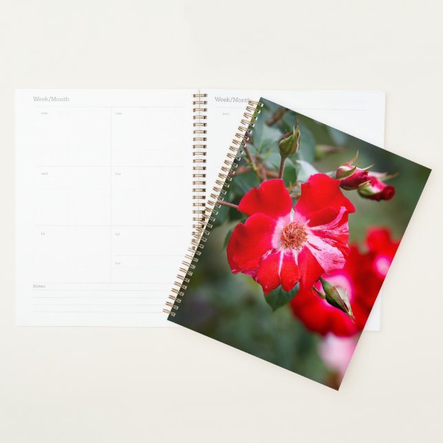 Fourth of July Shrub Planner (Display)