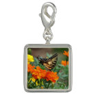 Fourth Wings Of Wonder