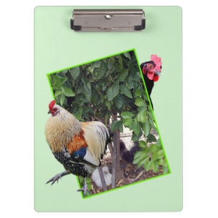 **"Fowl Play: Chicken Hide-and-Seek in 3D"** Clipboard