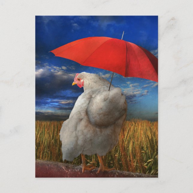 Fowl Weather - Predicting Rain Postcard (Front)