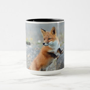 Fox 2 mug