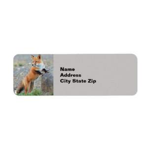 Fox 2 return address label