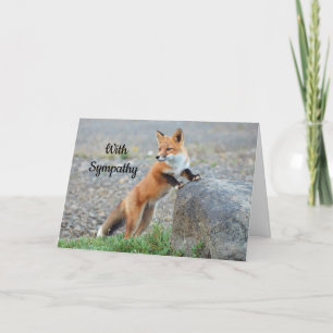 Fox 2 Sympathy Card