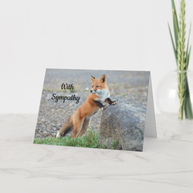 Fox 2 Sympathy Card (Front)