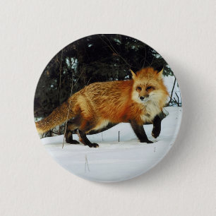Fox 6 Cm Round Badge