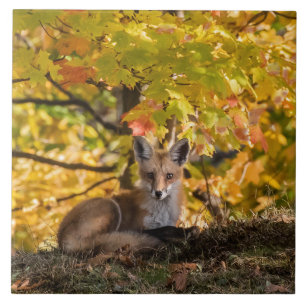 Fox And Foliage Ceramic Tile