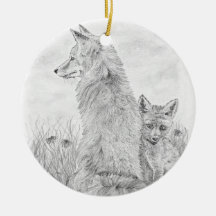 Fox and Kit