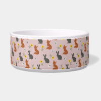 Fox and the Rabbit