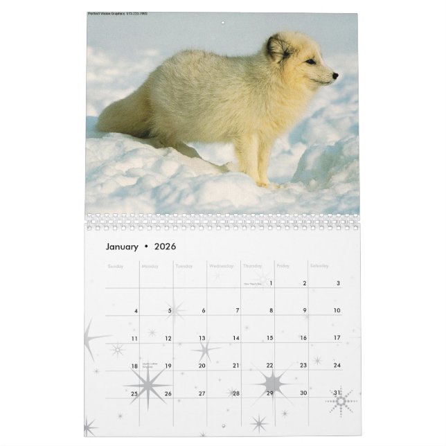 Fox Calendar 2010 (Jan 2026)