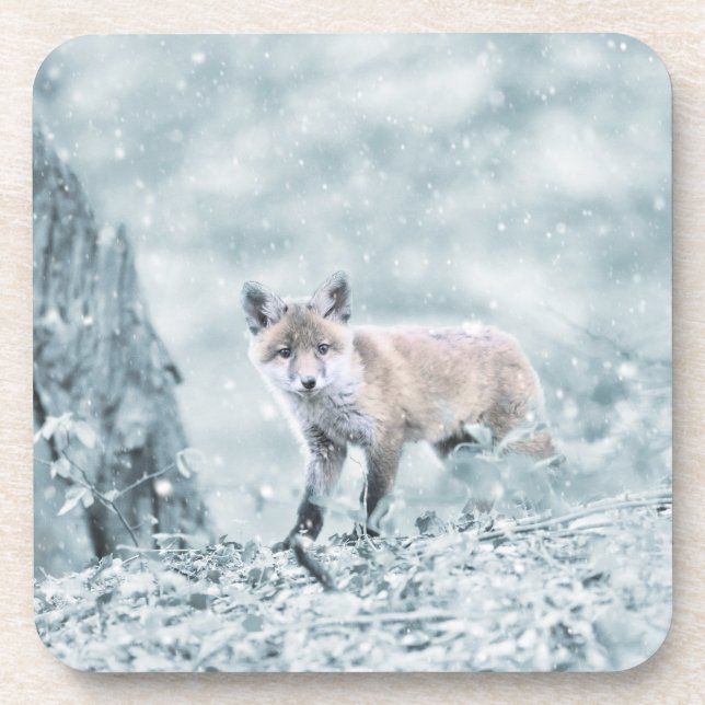 Fox Cub in the Snow Coaster (Front)