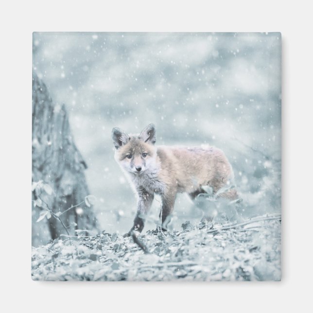 Fox Cub in the Snow Magnet (Front)