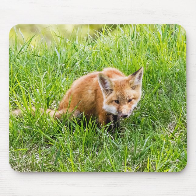 Fox Cub Mouse Pad (Front)