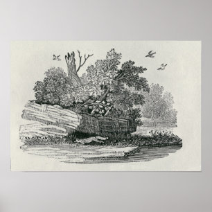 Fox escaping,'The General History of Poster