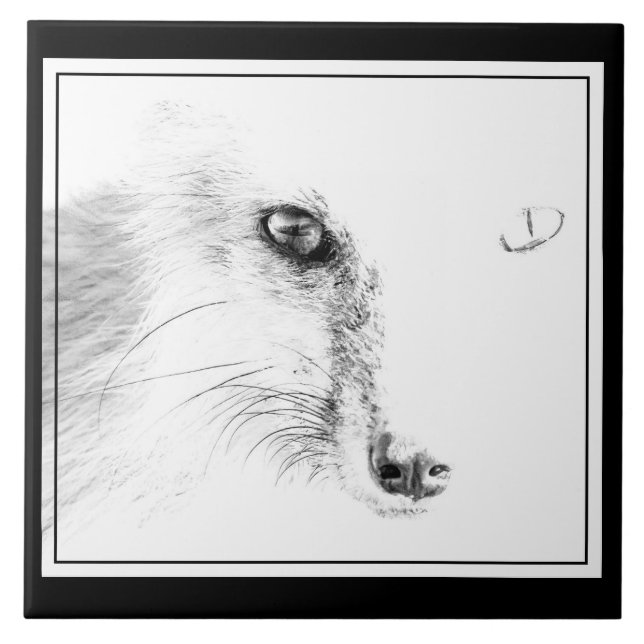  Fox Face      Ceramic Tile (Front)