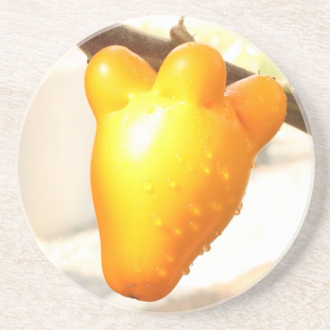 Fox Face Fruit Coaster (Front)