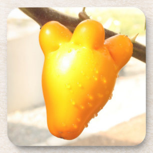Fox Face Fruit Coaster