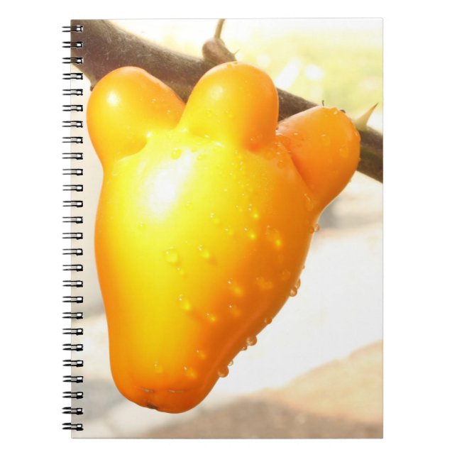 Fox Face Fruit Notebook (Front)