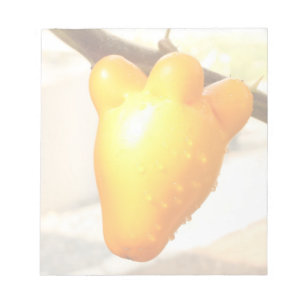 Fox Face Fruit Notepad