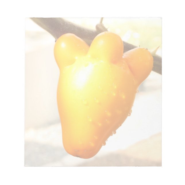 Fox Face Fruit Notepad (Front)
