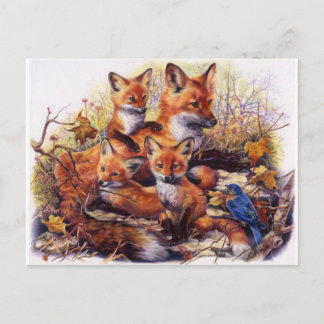 Fox Family Portrait Postcard