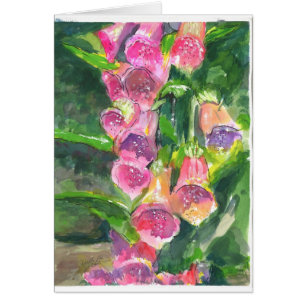 Fox glove flowers