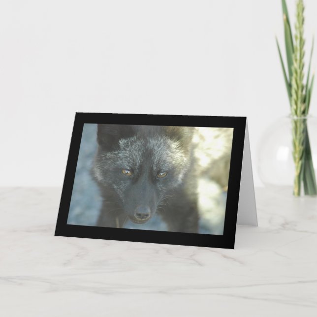 Fox Greeting Card (Front)