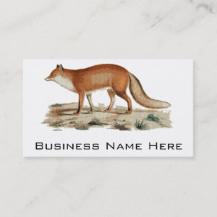 Fox Illustration Business Card
