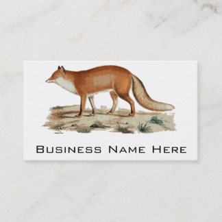 Fox Illustration Business Card