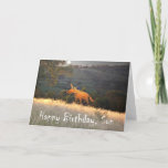 Fox in Moonlight, Happy Birthday Son, humor. Card<br><div class="desc">A cartoon drawing of a ginger fox in the moonlight. There is a moon in the night sky,  and " Happy Birthday Son " is written at the bottom of the card,  humor</div>