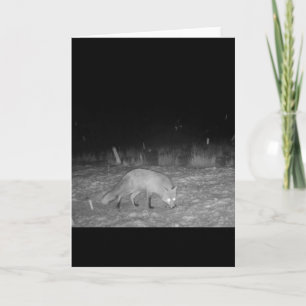 Fox in Snow at Night Greeting Card Add Text