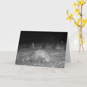 Fox in Snow at Night Greeting Card Add Text