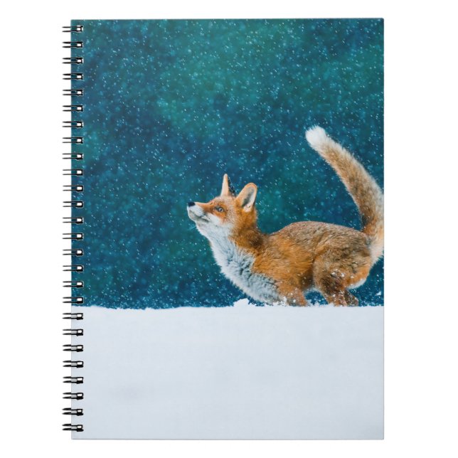 Fox in snowfall. Red fox, Vulpes vulpes, jumping i Notebook (Front)