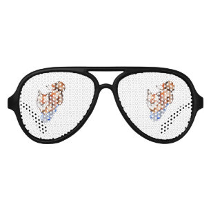 Fox in Socks Aviator Sunglasses