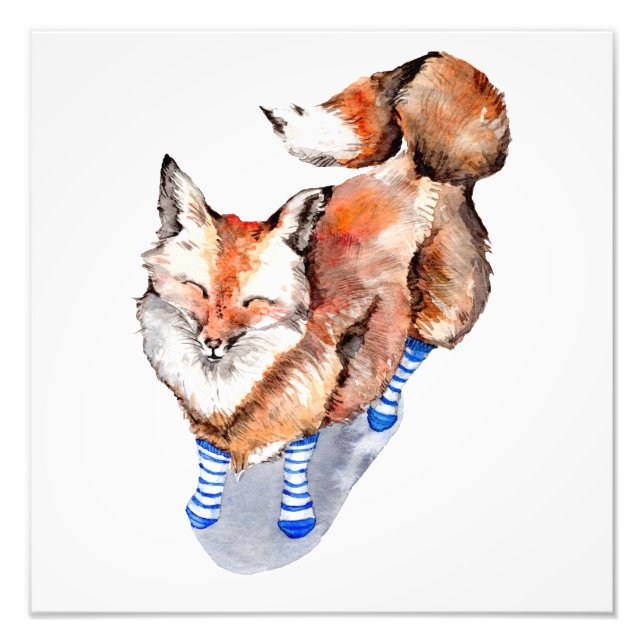 Fox in Socks Photo Print (Front)