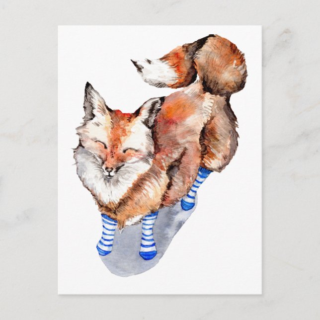 Fox in Socks Postcard (Front)