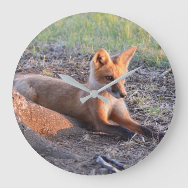 Fox in Sunlight Large Clock (Front)