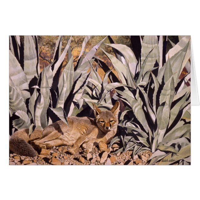 Fox in the Desert "Safe House" (Front Horizontal)