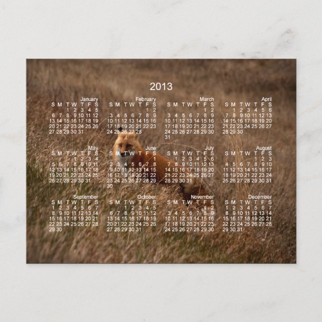 Fox in the Grass; 2013 Calendar Postcard (Front)