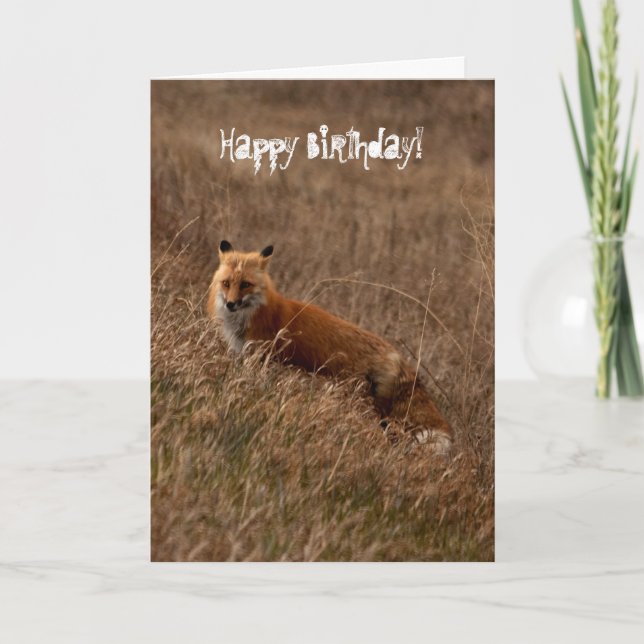 Fox in the Grass; Happy Birthday Card (Front)