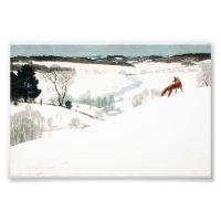 Fox in the Snow by Newell Convers Wyeth