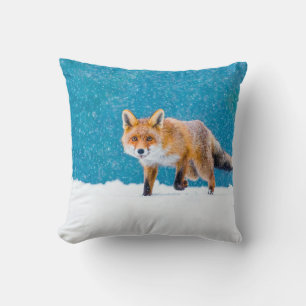 Fox in winter. Red fox, Vulpes vulpes, sniffs abou Cushion