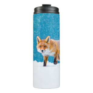 Fox in winter. Red fox, Vulpes vulpes, sniffs abou Thermal Tumbler