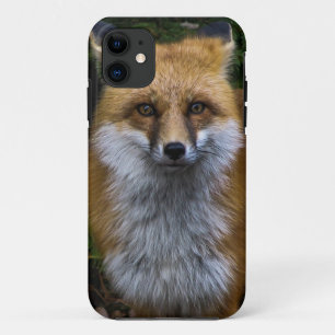 Fox iPhone Case