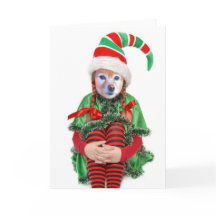 Fox Is A Girl Elf, #2