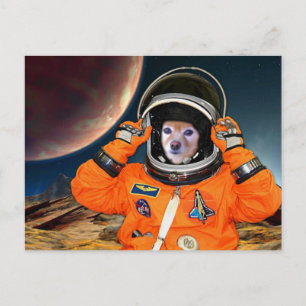 Fox Is An Astronaut #2 Postcard