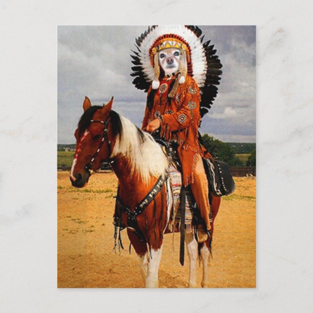 Fox Is An Indian Chief Postcard (Front)