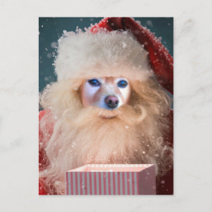 Fox Is Santa With A Gift Holiday Postcard