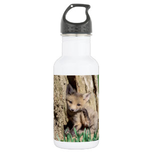 Fox Kit in the Hudson Valley 532 Ml Water Bottle
