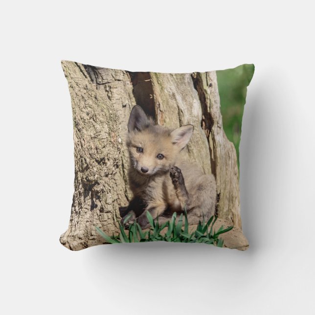 Fox Kit in the Hudson Valley Cushion (Front)